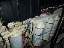 Купить YOUNG GIRL 50