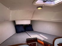 Лучшая цена на GALLUP - ALERION