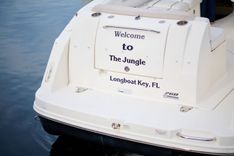 Купить Welcome to the Jungle 2011