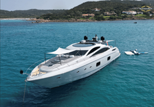 Light blue Predator 82 price