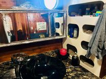 Devil's Gauntlet - CUSTOM BUILT