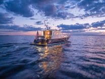 Купить REMEDY 2014