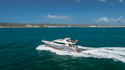 Купить Test Name 2024