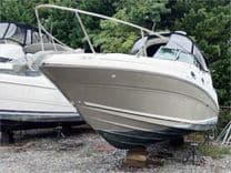 31' Sea Ray 2008 310 Sundancer - SEA RAY yacht sale