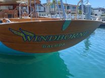 Windborne