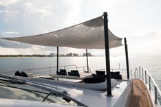 CARPE DIEM 102 price