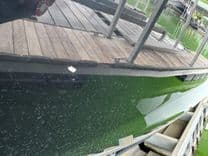 Buy a yacht 024 Yamaha 252SD NLNL - YAMAHA