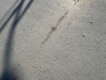 Продажа яхты Summer Breeze