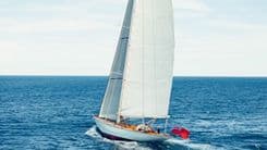 SAVANNAH Custom Pedrick Design Sloop price