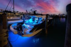 Inverse Entropy - Marquis