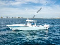 Купить SUSHI 2023