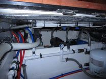 ENDLESS SUMMER price