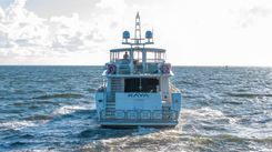 KAYA - Johnson price