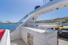 GYRFALCON - VAN DER VALK price