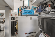 GYRFALCON - VAN DER VALK