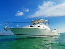 Wellcraft 290 Coastal - WELLCRAFT