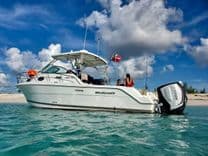 Wellcraft 290 Coastal