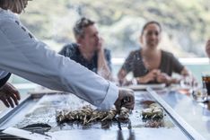 Лучшие предложения покупки яхты THE BEAST 2019