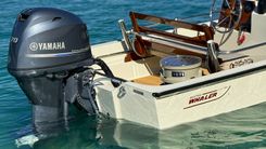 (No name) - Boston Whaler price