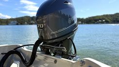 Buy a yacht (No name) 15