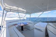 Buy a MEDUSA - VIKING SPORT CRUISERS at Shestakov Yacht Sales