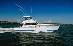 PROUD LADY - RYBOVICH