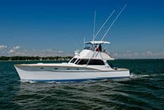 Купить PROUD LADY - RYBOVICH