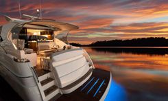 Лучшая цена на WATER DOG 2024