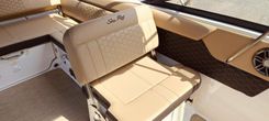 Стоимость яхты 2022 Sea Ray 250 SDX @ Puerto Vallarta - SEA RAY