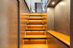 WILD DUCK 2019 price