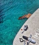 Buy a AEGEAN INFINITY - SOLARIS POWER at Shestakov Yacht Sales