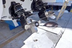 Стоимость яхты Ship Faced 2015