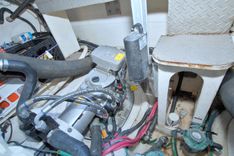 Serenity in the Sea - Regal