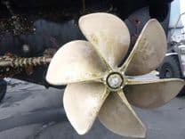 the best price on Habeas Orcas 62