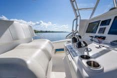 Invincible - INVINCIBLE price