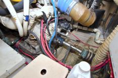 Лучшая цена на 2 Wild Flings - JEFFERSON