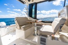 True Companion price