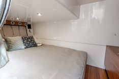 True Companion 2024 price