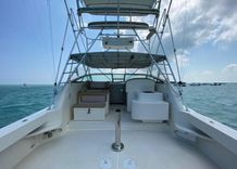 Купить Vamonos 340 Amberjack