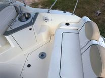 Buy a 24' Sea Ray 2008 240 Sundancer - SEA RAY at Shestakov Yacht Sales