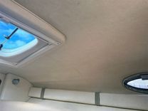 Buy a 24' Sea Ray 2008 240 Sundancer 2008 at Shestakov Yacht Sales