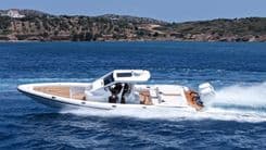 Купить RIBCO VENOM 44 2025