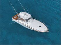 Buy a Lady T (Copy) 2012 at Shestakov Yacht Sales