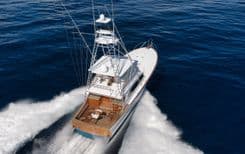 Купить ROSE 1998