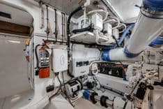 Купить ROSE 60