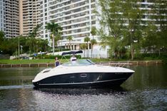 WELCOME TO THE JUNGLE