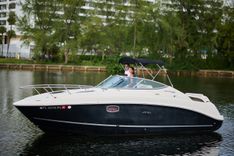 Buy a WELCOME TO THE JUNGLE 260 Sea Ray Cruising Yacht at Shestakov Yacht Sales