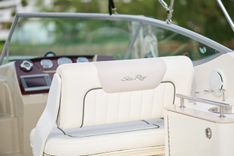 the best price on WELCOME TO THE JUNGLE 260 Sea Ray Cruising Yacht