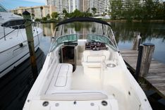 best yacht sales deals WELCOME TO THE JUNGLE 260 Sea Ray Cruising Yacht