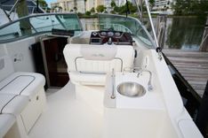 WELCOME TO THE JUNGLE 260 Sea Ray Cruising Yacht